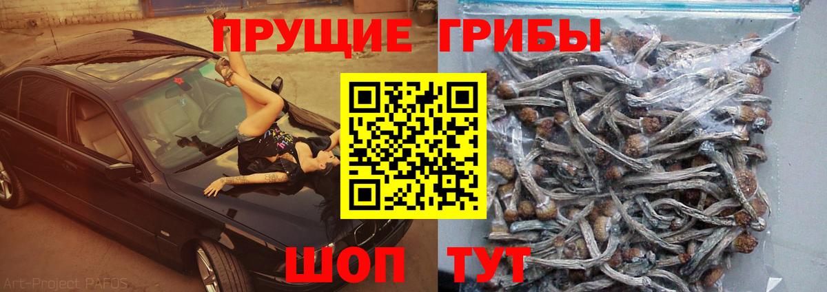 Псилоцибиновые грибы мухоморы Вятские Поляны